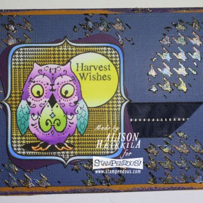 Harvest Owl: Playing with Paste