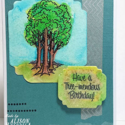 Have a Tree-mendous Birthday!