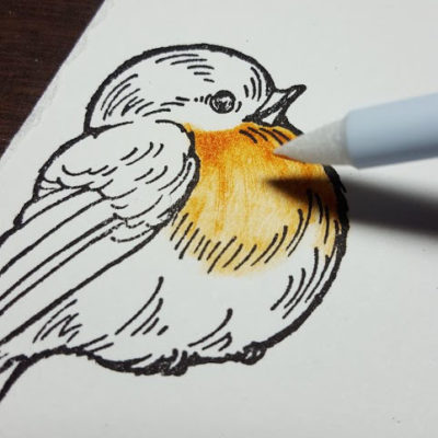 Bird on a Branch: Fantastix & Kaleidacolor