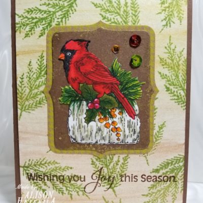 Holiday Birds: The Cardinal