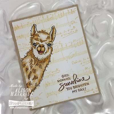 Llama Look