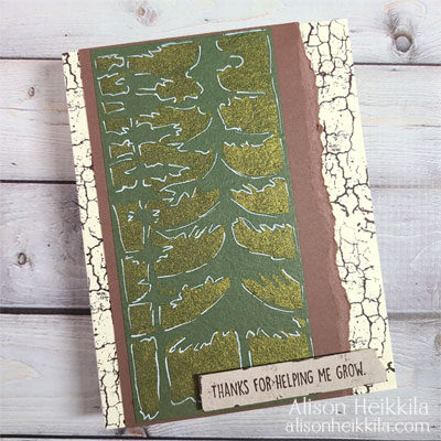3rd Pine Tree Card