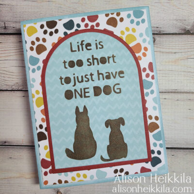 Life is Too Short to Have Just One Dog
