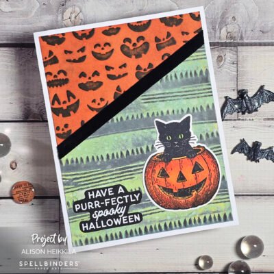 Have a Purr-fectly Spooky Halloween